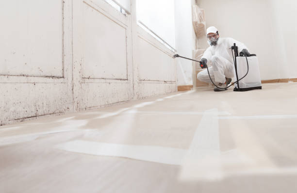 24/7 Emergency Mold Remediation experts in South Creek, WA