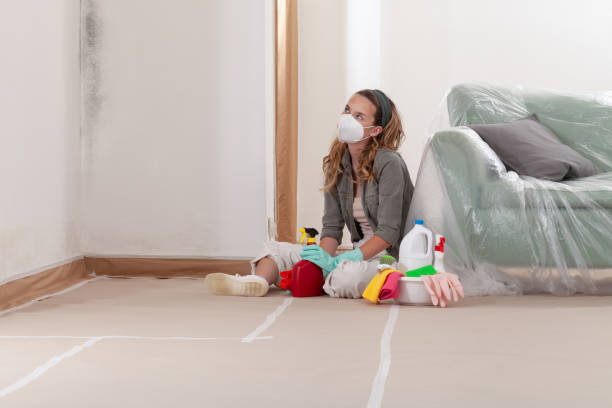 Reliable Mold Remediation contractor in South Creek, WA by 24 Hour Mold Removal